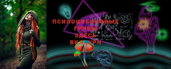 стаф Алексеевка